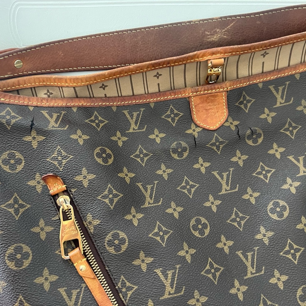 Auth Louis Vuitton Delightful Gm #N9546V26O - Picture 15 of 16
